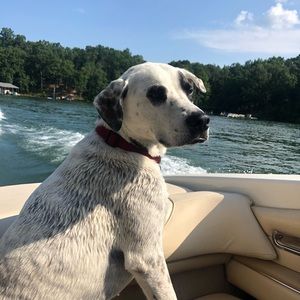 Meet your Posher, Mia